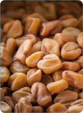 Ultrabolan fenusterols